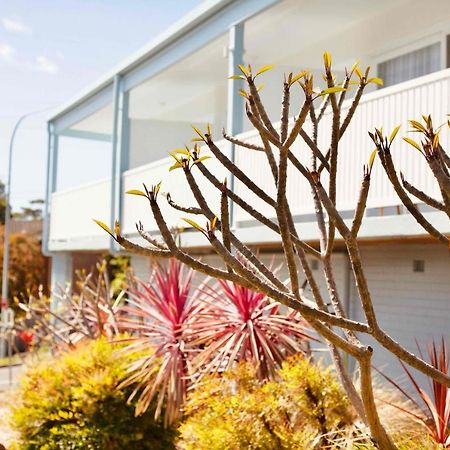 Mollymook Motel 외부 사진
