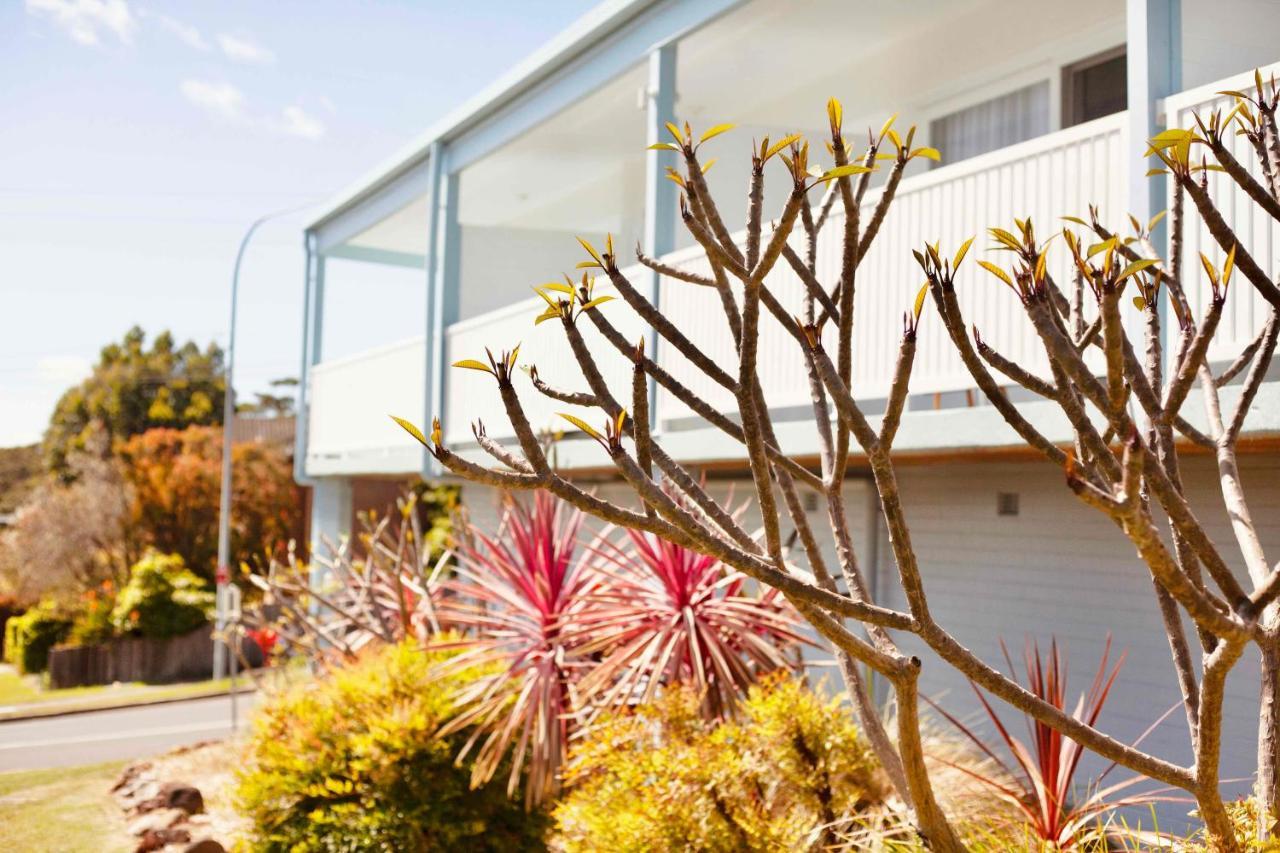 Mollymook Motel 외부 사진